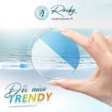  Tròng kính Rocky Đổi màu Trendy Lọc ánh sáng xanh 1.56 SHMC chính hãng 
