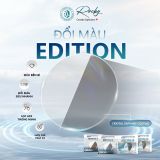  Tròng kính Rocky Edition 9,10 Đổi màu Lọc ánh sáng xanh hạn chế chói cao cấp 1.56, 1.61 ASP chính hãng 