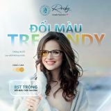  Tròng kính Rocky Đổi màu Trendy Lọc ánh sáng xanh 1.56 SHMC chính hãng 