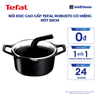  Nồi đúc cao cấp Tefal Robusto có miệng rót 20cm 