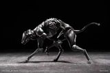  Vermin Series Canine-Type Biological Weapon Zatard Hound 