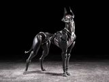  Vermin Series Canine-Type Biological Weapon Zatard Hound 