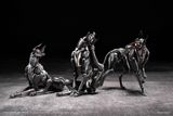  Vermin Series Canine-Type Biological Weapon Zatard Hound 