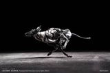  Vermin Series Canine-Type Biological Weapon Zatard Hound 