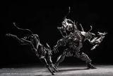  Vermin Series Canine-Type Biological Weapon Zatard Hound 