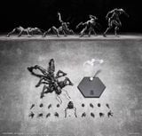  Vermin Series Artificial Evolution B006 Ant 