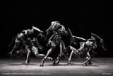  Vermin Series Artificial Evolution B006 Ant 