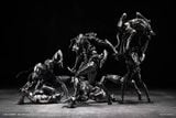  Vermin Series Artificial Evolution B006 Ant 