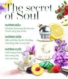 Nước hoa My Soul của Mỹ Tâm - No.04 The secret of Soul - 50ml (Mua 1 chai + 1 Bông tẩy trang)