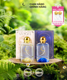 Combo Nước Hoa My Soul 