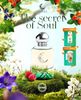 Nước hoa My Soul của Mỹ Tâm - No.04 The secret of Soul - 50ml (Mua 1 chai + 1 Bông tẩy trang)