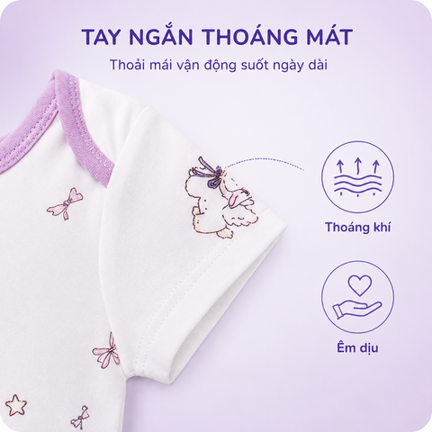  combo 3 bộ body chip 