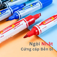 Combo 5/10/20 bút lông dầu Queen PM-01 (Tiêu chuẩn Mỹ & Châu Âu)