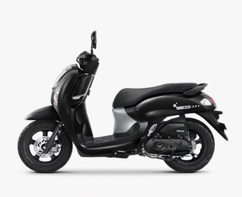  Honda Scoopy 2026 Tiêu chuẩn Fashion 