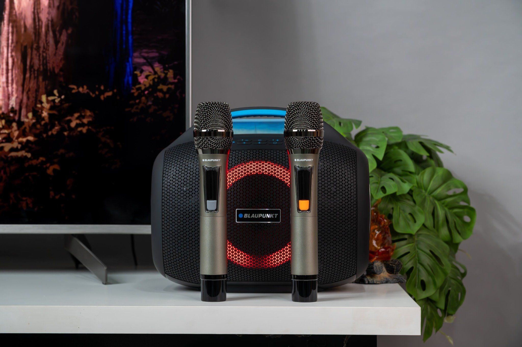  Loa Bluetooth Blaupunkt BP-ORI6300BK 