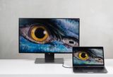  Cáp HDMI Philips SWV5010 - Type-C to HDMI | Hỗ trợ 4K 60Hz, 1.5m 