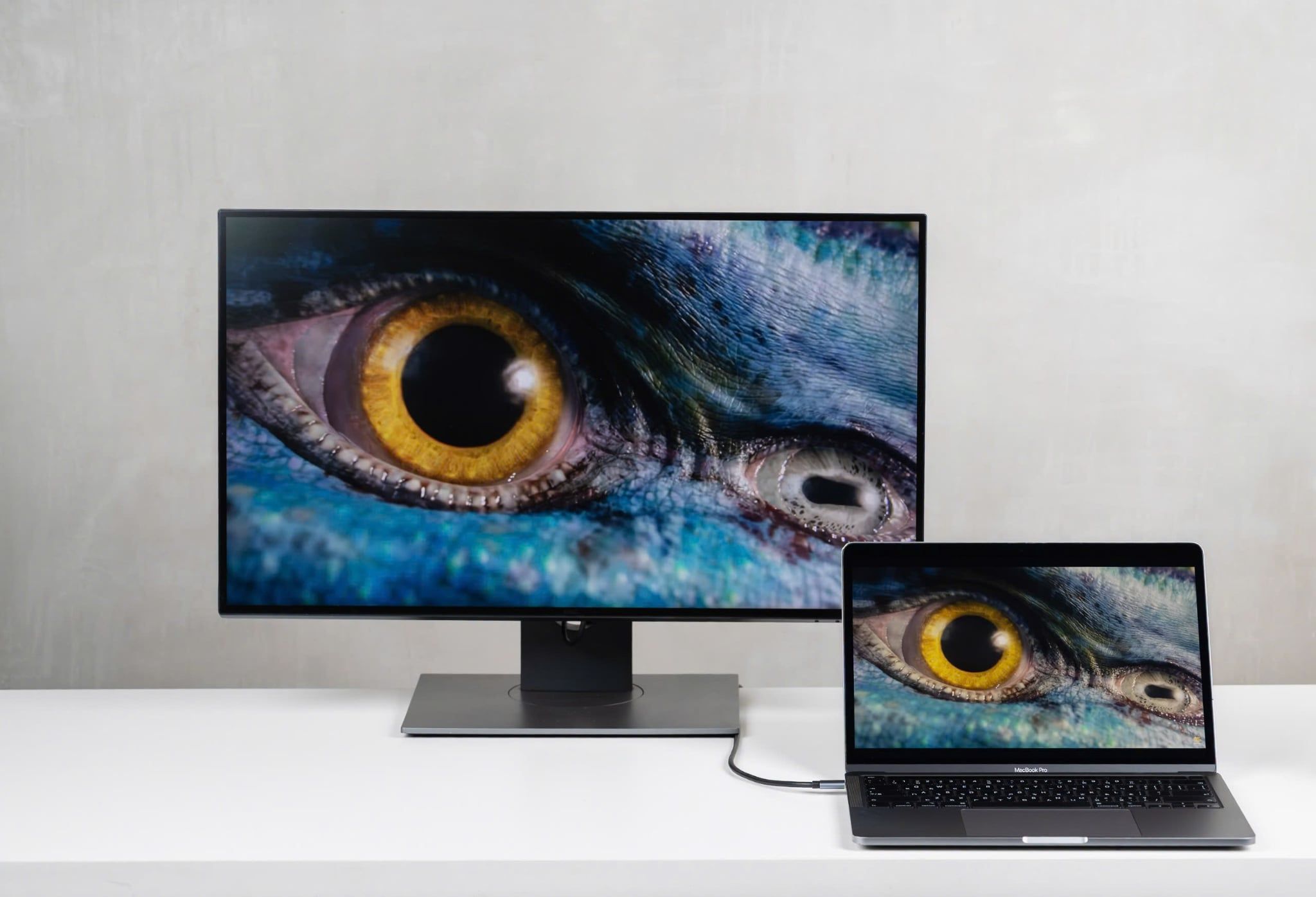 Cáp HDMI Philips SWV5010 - Type-C to HDMI | Hỗ trợ 4K 60Hz, 1.5m 