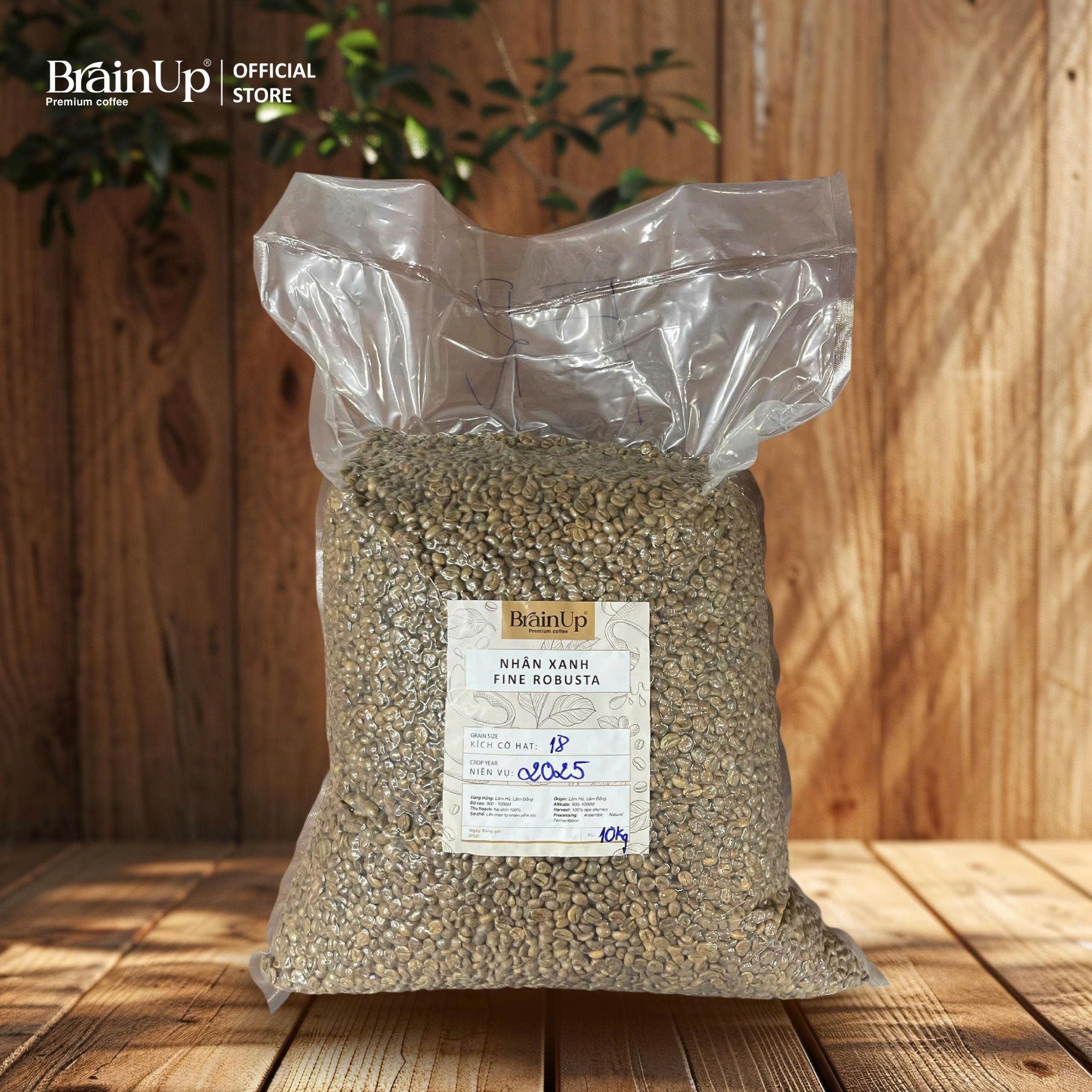  Nhân Xanh Fine Robusta 