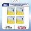 B65 - Combo 4 đĩa vuông trang trí họa tiết khỉ vàng 