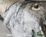  S03 - Bộ Chăn Ga Gối Lụa Tencel 80s Họa Tiết Hoa 