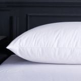  Bộ 2 Ruột Gối Bông Trắng Kháng Khuẩn 