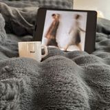  Bộ Chăn Ga Gối Nỉ Lông Cáo Xám Đậm 