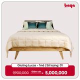  Giường gỗ sồi 1m6 LUCAS 