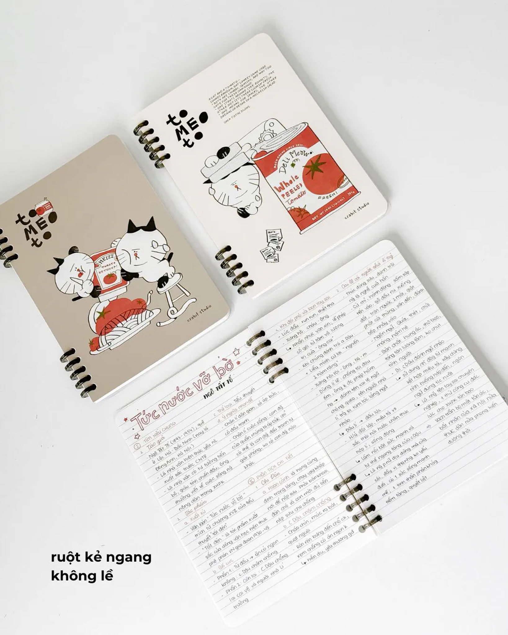  Sổ còng a5 slim binder 100gsm kẻ ngang 