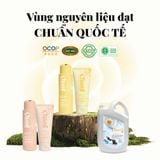  Nước gội Hoa Trà Chami 2in1 |  Chami Camellia 2in1 Shampoo 