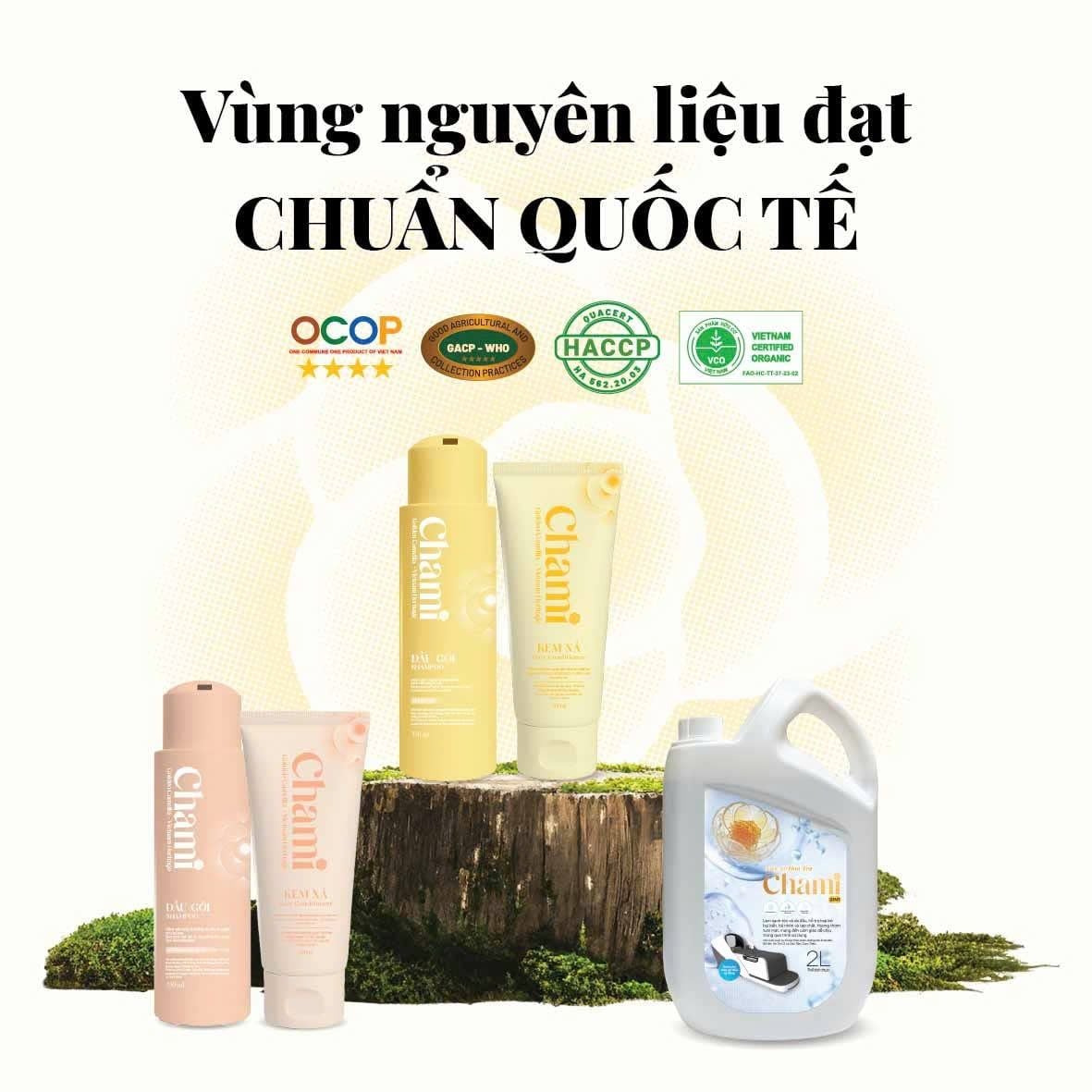  Nước gội Hoa Trà Chami 2in1 |  Chami Camellia 2in1 Shampoo 