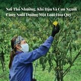  Nước gội Hoa Trà Chami 2in1 |  Chami Camellia 2in1 Shampoo 