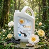  Nước gội Hoa Trà Chami 2in1 |  Chami Camellia 2in1 Shampoo 