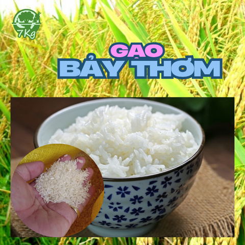 Gạo Bảy Ký