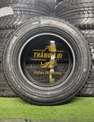 Lốp xe golf Deestone 205/50-10 4PR