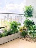  [Balcony] Phù hợp ban công hướng đông, trồng hoa, diện tích 4m2 