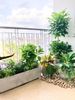  [Balcony] Phù hợp ban công hướng đông, trồng hoa, diện tích 4m2 