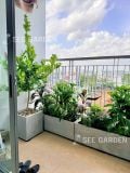  [Balcony] Phù hợp ban công hướng đông, trồng hoa, diện tích 4m2 