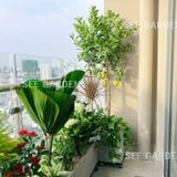  [Balcony] Ban công hoa và quả diện tích 4-5m2 