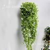  Tích Tuyết Thảo [Centella asiatica] 