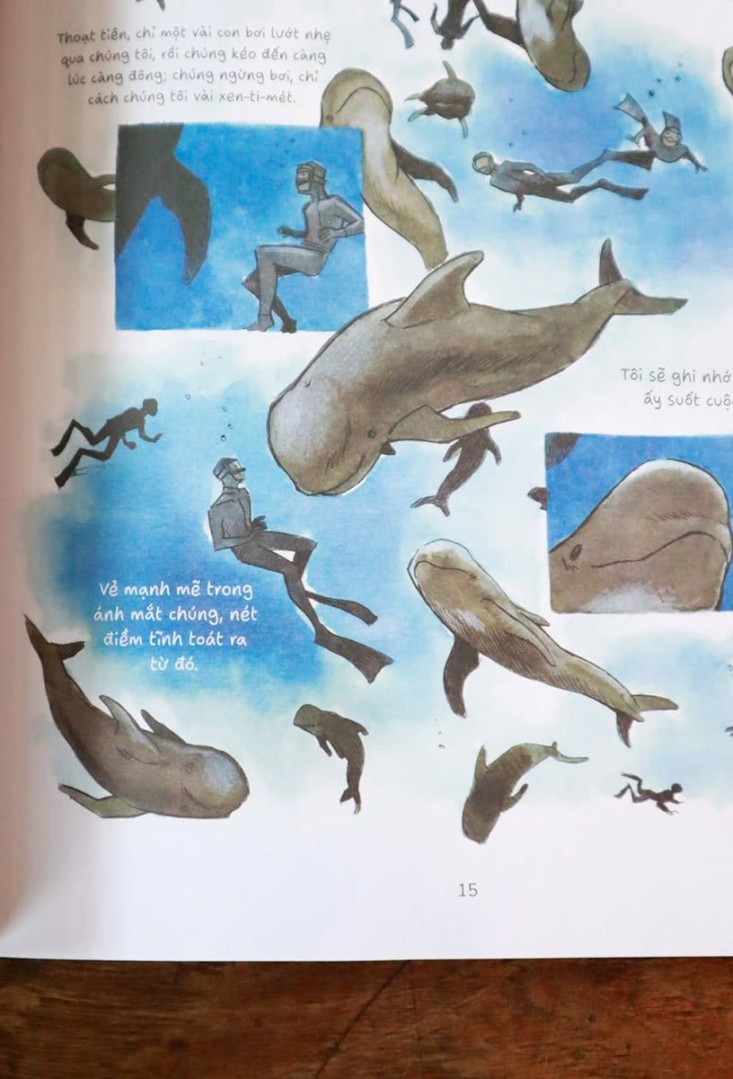  Tiểu thuyết tranh: Những Chú Cá Heo Vaquita Cuối Cùng Đã Đi Đâu? 