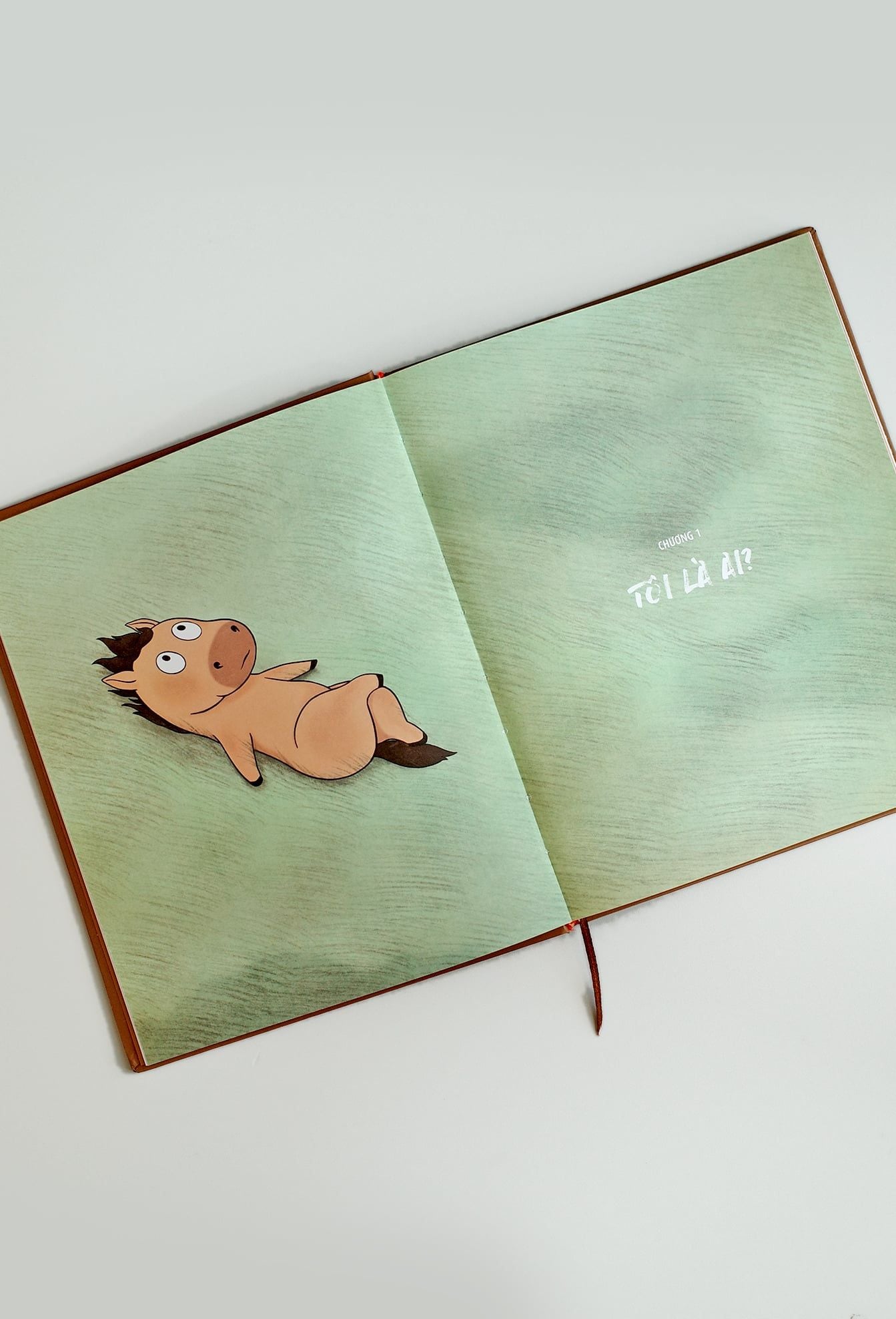  SÁCH TRANH MÃ TIỂU DÃ, VỪA CHẠY VỪA KHÓC 