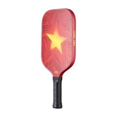 Vợt Sợi Thủy Tinh Pickleball Motive Vietnam