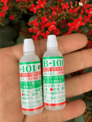 Siêu Kích Rễ HB101 Nhập Khẩu Nhật Bản - Giúp Cây Tăng Trường Và Phục Hồi Nhanh Chóng