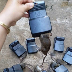 Bẫy Chuột Thông Minh, Siêu Nhạy, Lực Cắn Mạnh (Tặng kèm mồi nhử)