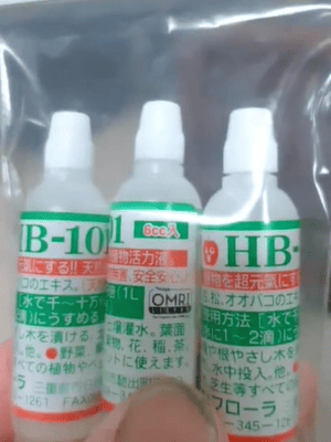 Siêu Kích Rễ HB101 Nhập Khẩu Nhật Bản - Giúp Cây Tăng Trường Và Phục Hồi Nhanh Chóng