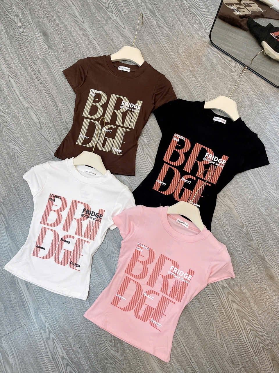  Áo thun babytee in chữ chất thun co dãn - NÂU - H49 