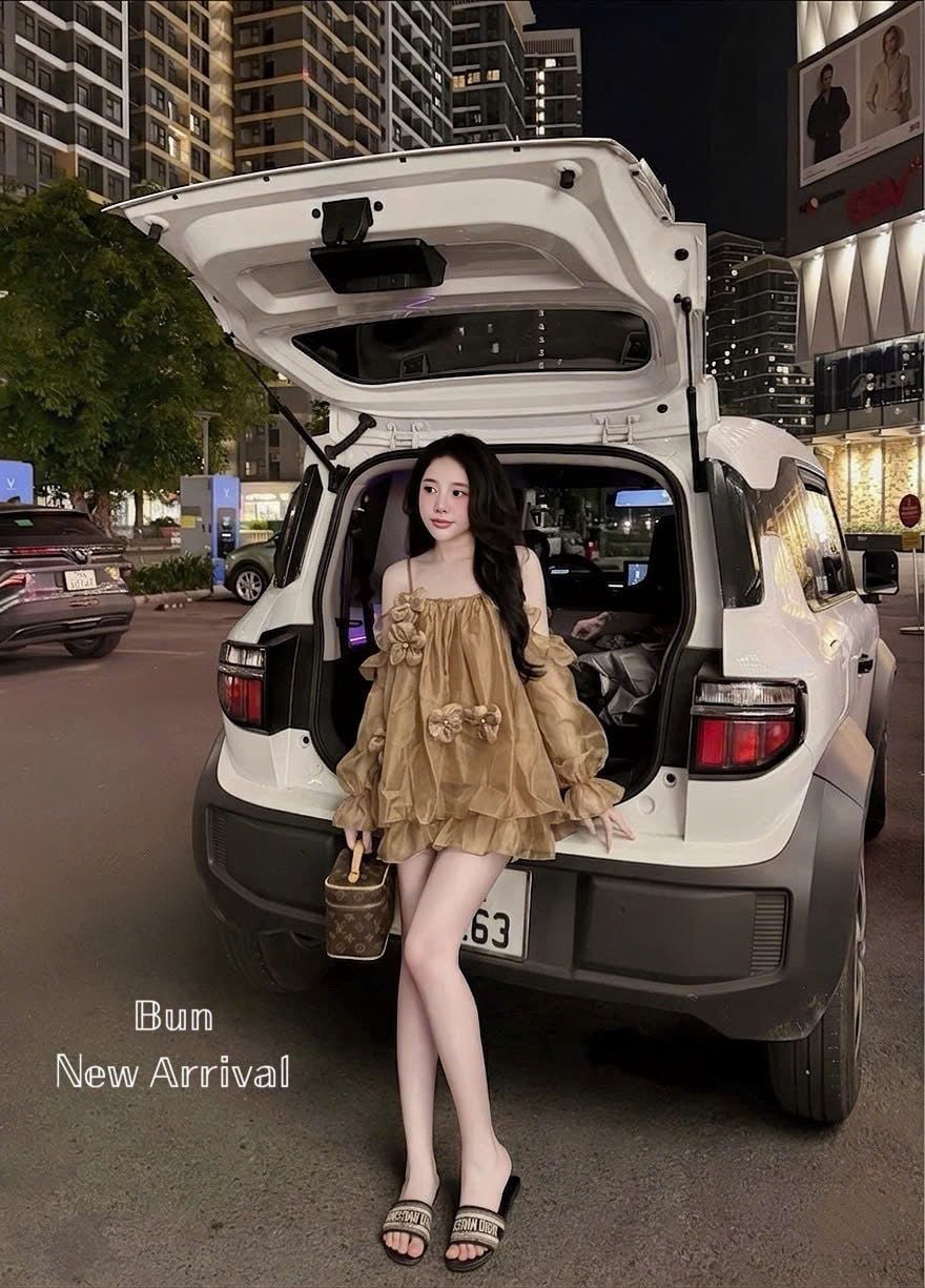  Váy suông hở vai đính hoa nổi phối tơ bèo tiểu thư - NÂU - G142 