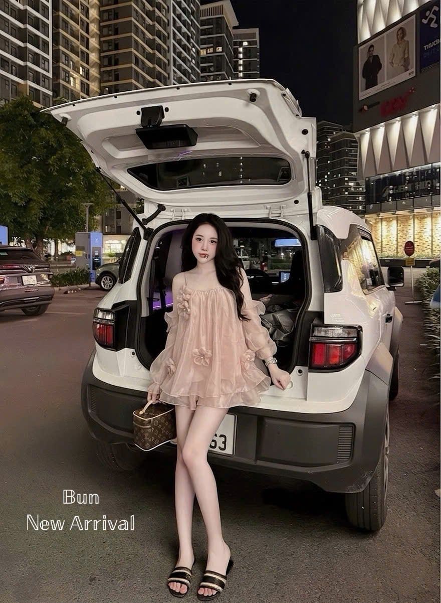  Váy suông hở vai đính hoa nổi phối tơ bèo tiểu thư - HỒNG - G143 