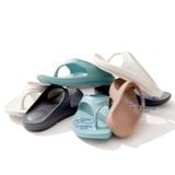  YSANDAL RECOVERY 2 KAFEI 