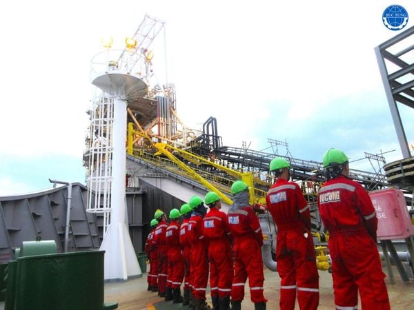  DT00056 Cung cấp dịch vụ thay thế đường ống bị ăn mòn của TBVN (JOB 25-002-CE) 